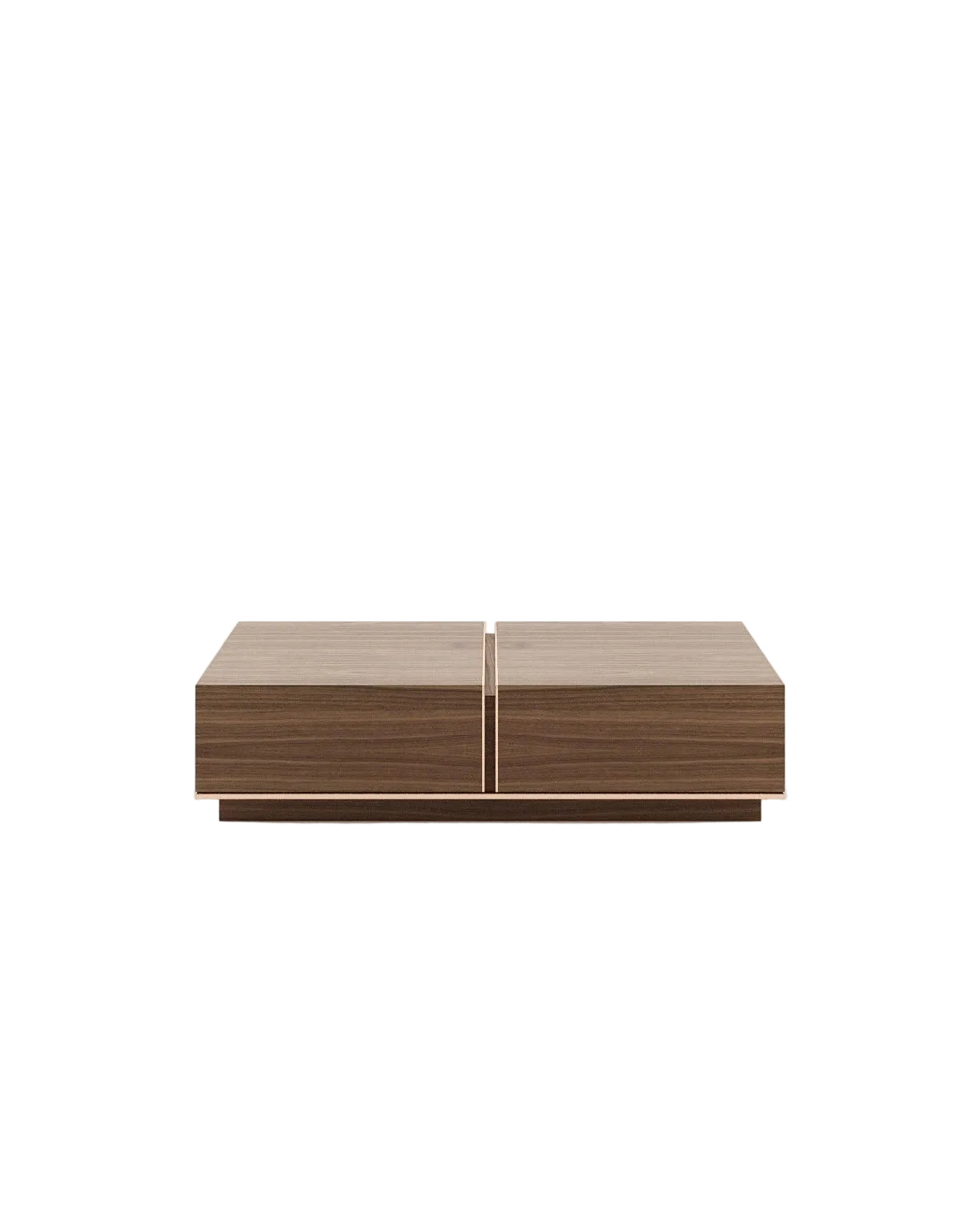 Aryan Coffee Table