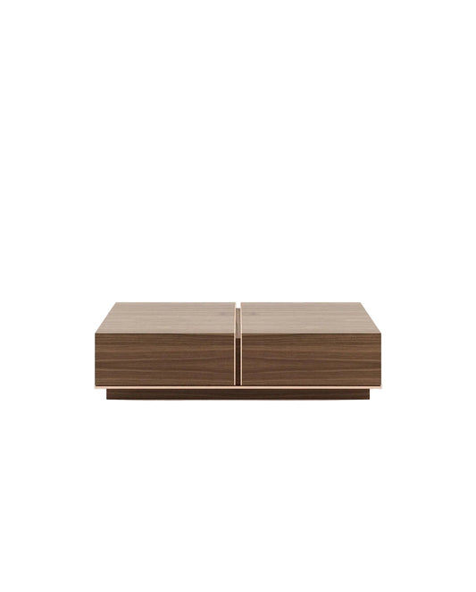 Aryan Coffee Table